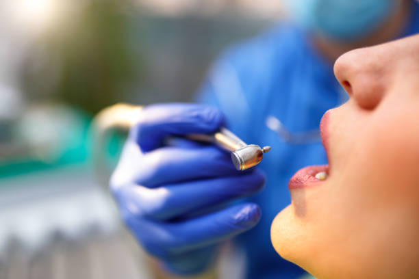  Wilson, NC Dental Services Pros